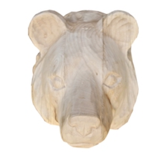 Tête d'ours brute en bois sculpté main 19x24cm