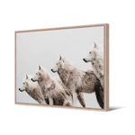 Tableau cadre naturel Loups 65x92,5 cm - Pdevache
