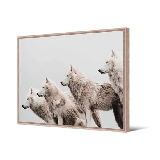 Tableau cadre naturel Loups 65x92,5 cm - Pôdevache